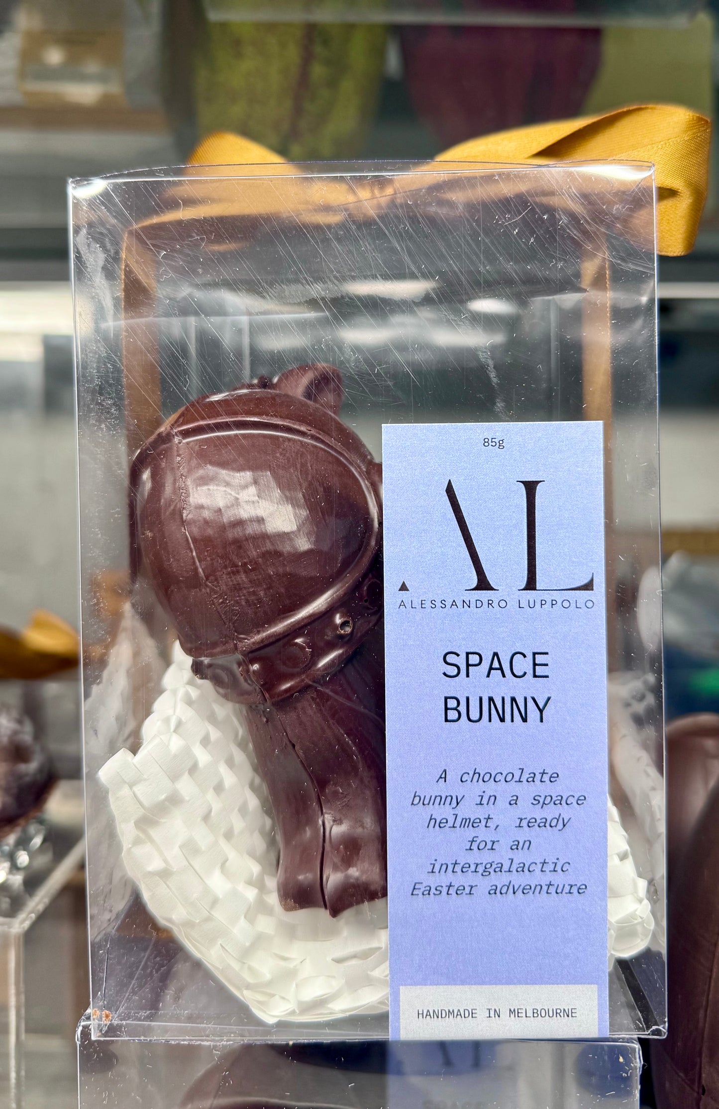 Space Bunny