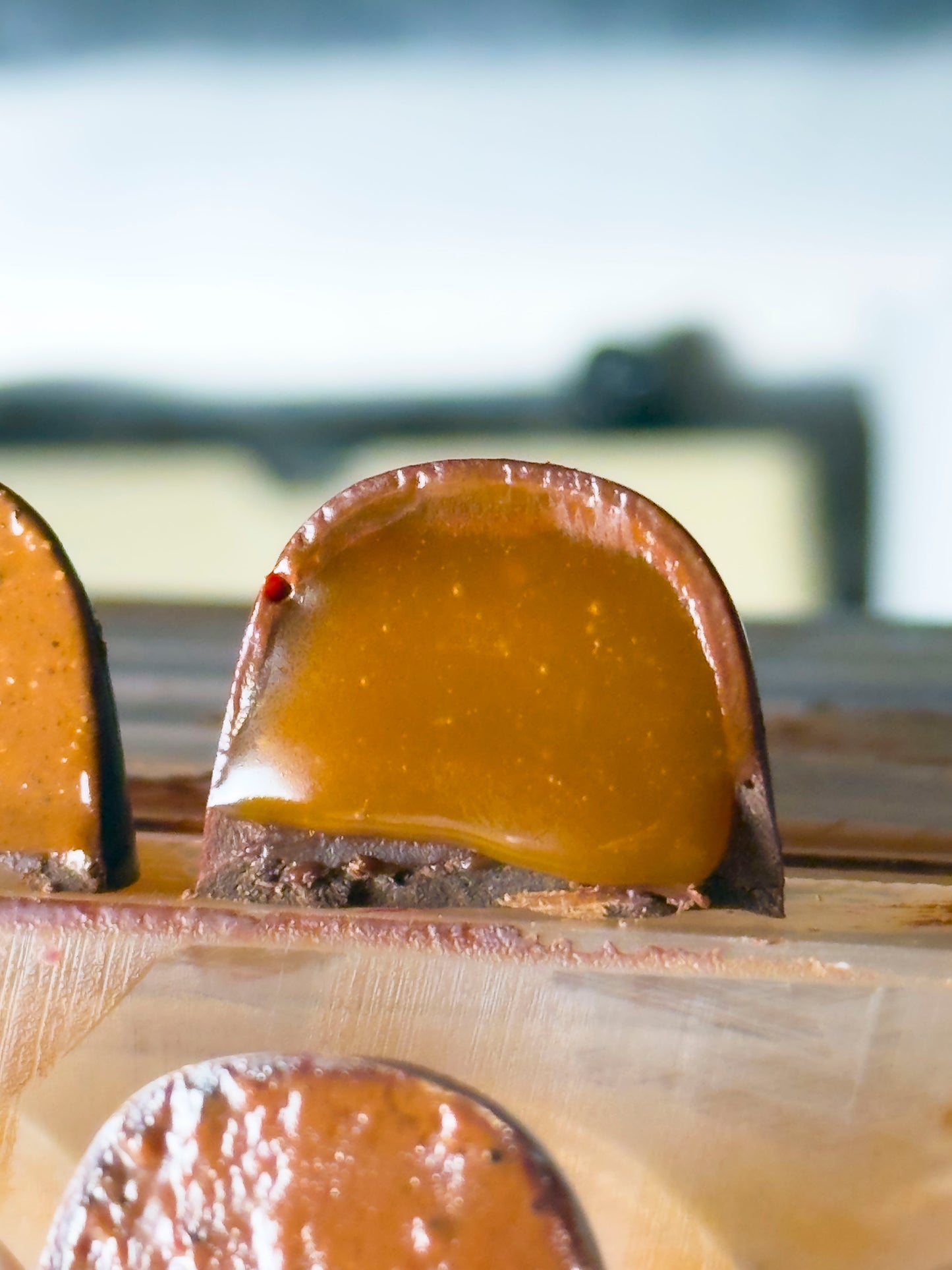 Bon Bons - Classic and Advanced flavour selection