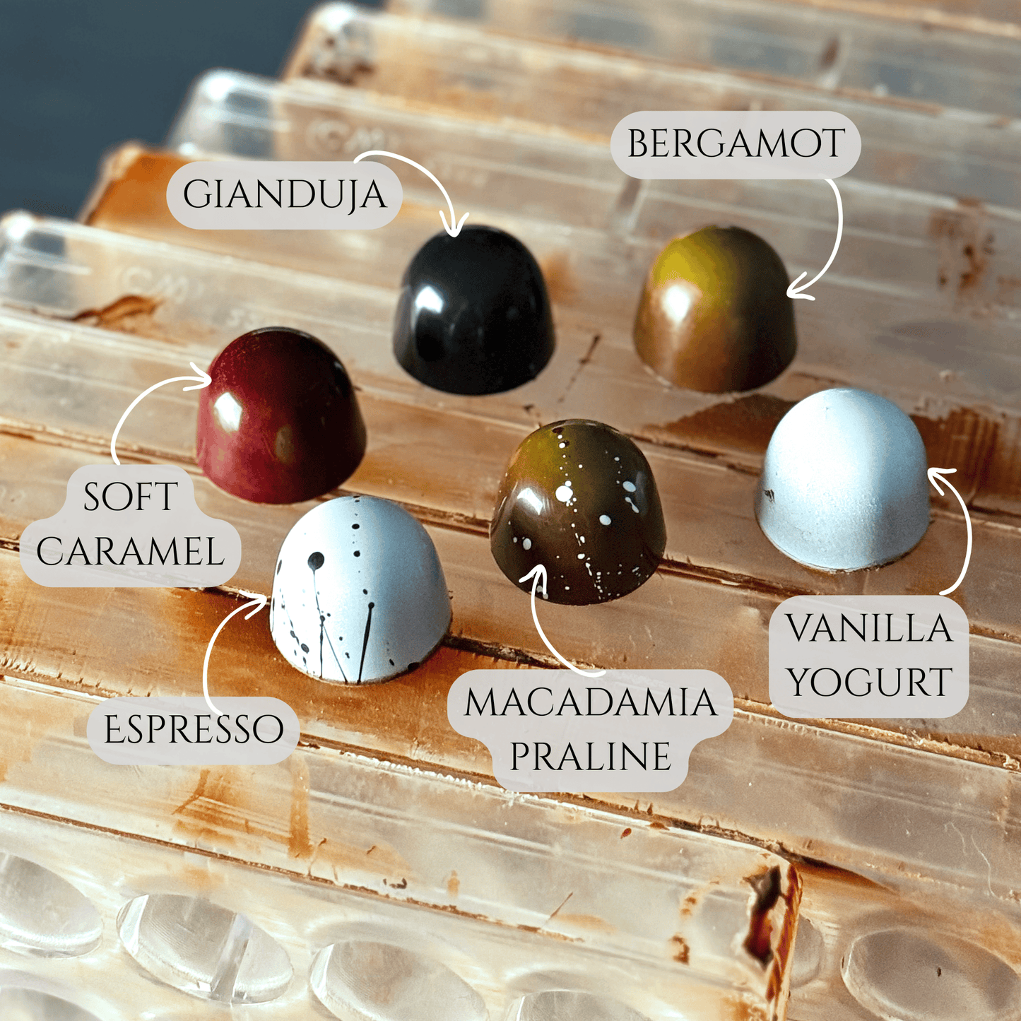 luxury chocolate bon bons praline